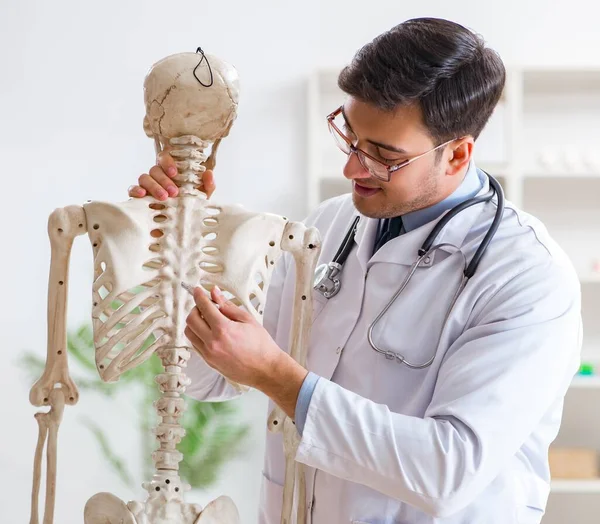 Γιονγκ αρσενικό γιατρό με σκελετό απομονώνονται σε λευκό — Φωτογραφία Αρχείου
