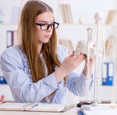 Öğrenci sınıfında oturuyor ve iskelet çalışıyor.