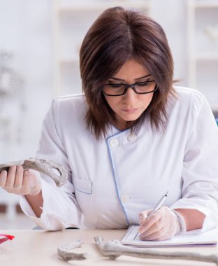 İskelet üzerinde çalışan bir doktor.