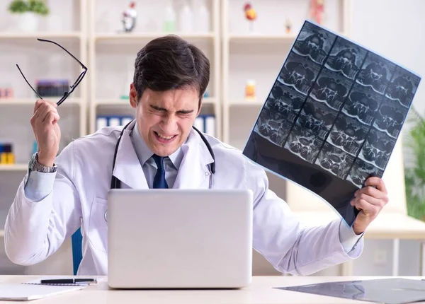Médico joven mirando imágenes de rayos X en la clínica —  Fotos de Stock