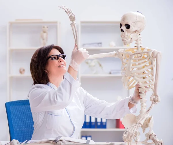 Medico che lavora in laboratorio sullo scheletro — Foto Stock
