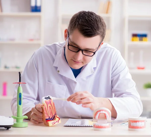 Implant zębów dentysty w laboratorium medycznym — Zdjęcie stockowe