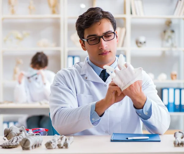 Professor estudando esqueleto humano em laboratório — Fotografia de Stock