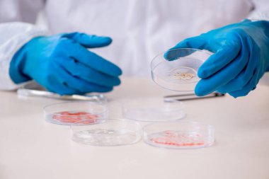 Laboratuvarda çalışan genç bir kimyager.