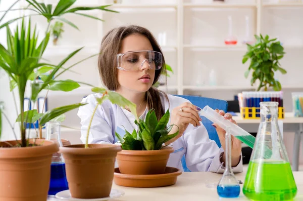 Joven química biotecnológica hermosa trabajando en el laboratorio — Foto de Stock