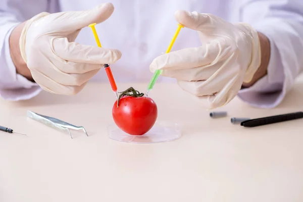 Erkek beslenme uzmanı gıda ürünlerini laboratuarda test ediyor. — Stok fotoğraf