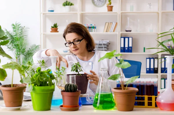 Mulher velha biotecnologia química que trabalha no laboratório — Fotografia de Stock