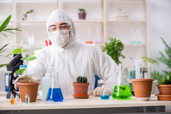 Biotechnologie chemicus werken in het lab — Stockfoto