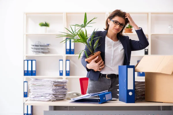 Vrouwelijke werknemer van middelbare leeftijd die uit haar werk wordt ontslagen — Stockfoto