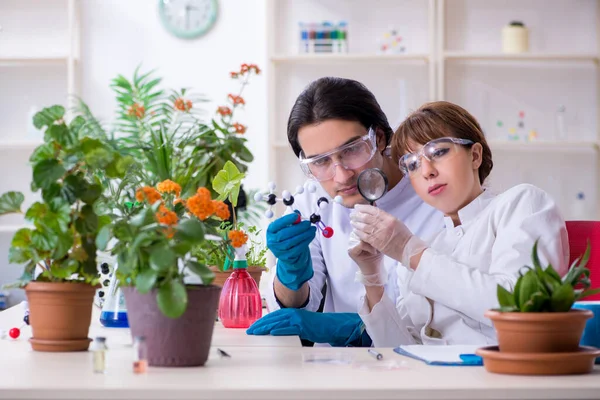 Dos jóvenes botánicos trabajando en el laboratorio — Foto de Stock