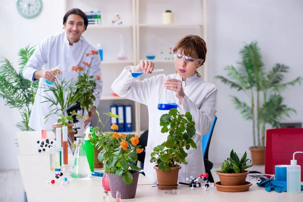 Dos jóvenes botánicos trabajando en el laboratorio — Foto de Stock