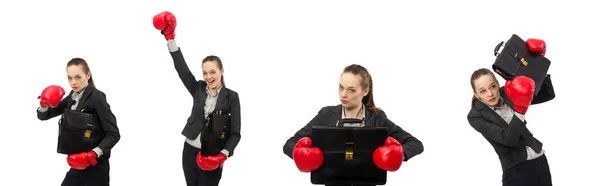 Empresária com luvas de boxe isolada em branco — Fotografia de Stock