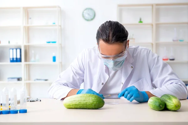研究室での男性栄養専門家の試験野菜 — ストック写真