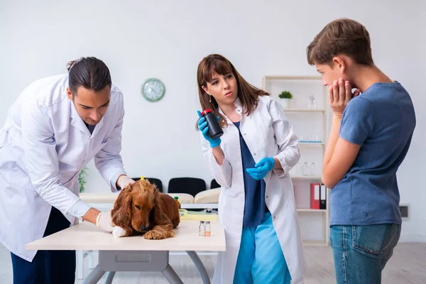 Veterinär läkare undersöker golden retriever hund på kliniken — Stockfoto