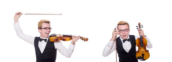 Lustiger Geigenspieler auf Weiß — Stockfoto