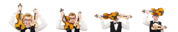 Funny man with violin on white — Stock Photo, Image