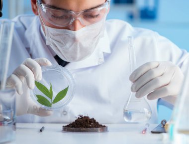 Erkek bilim adamı bir laboratuarda deney yapıyor.