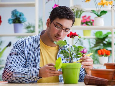 Çiçekçide çalışan genç bir adam.