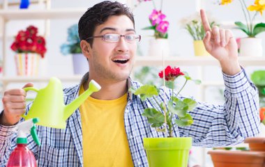 Bahçıvan çiçekçide çalışıyor. Çiçekçide çalışıyor.