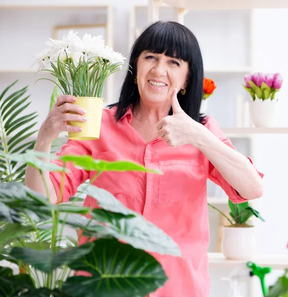 Woman florist working in the flower shop — Stock Photo, Image