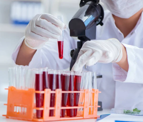 Investigadora científica que realiza un experimento en un labora — Foto de Stock