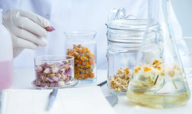 Laboratuvarda parfüm karıştıran bir kimyager.