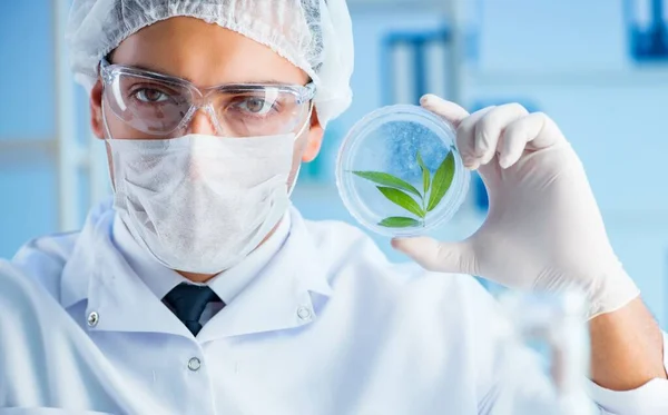 Conceito de biotecnologia com cientista em laboratório — Fotografia de Stock