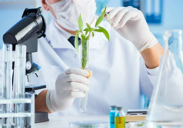 Concepto de biotecnología con científico en laboratorio —  Fotos de Stock