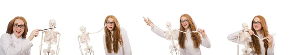 Młoda lekarka z wyizolowanym szkieletem na białym — Zdjęcie stockowe