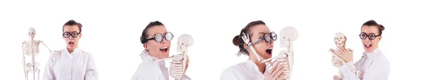 Doctor with skeleton on white — Stock Photo, Image
