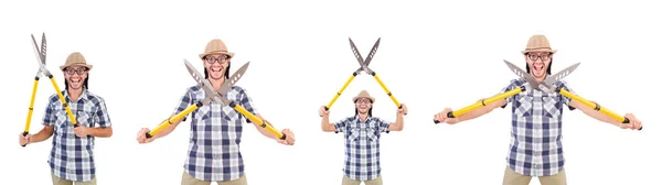 Funny guy with garden shears on white — Stock Photo, Image