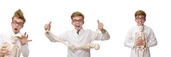 Смешной доктор со скелетом, изолированным на белом — стоковое фото