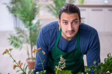 Evin içinde bitkileri olan genç bir erkek bahçıvan.