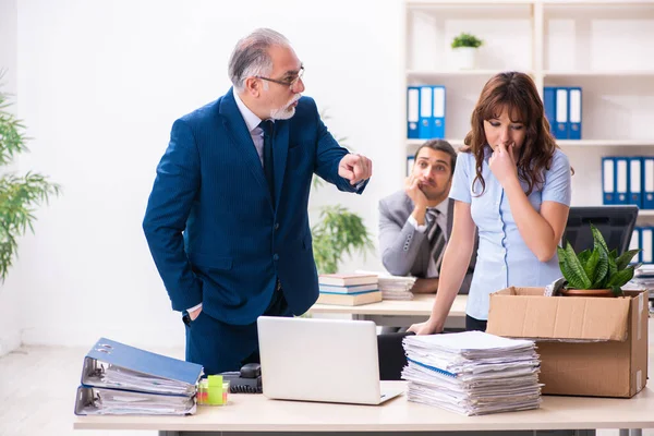 Dos empleados masculinos y una mujer que trabajan en la oficina — Foto de Stock