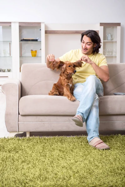 Cocker Spaniel köpeği olan genç bir adam. — Stok fotoğraf