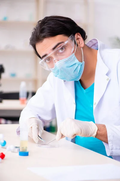 Jonge mannelijke chemicus werkzaam in het lab — Stockfoto