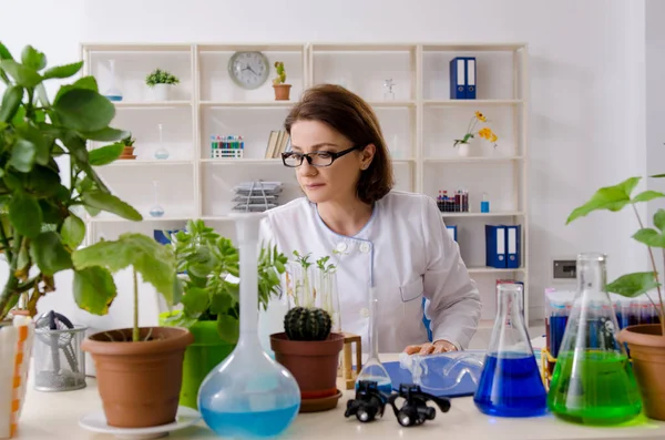 Vecchia chimica biotecnologica femminile che lavora in laboratorio — Foto Stock