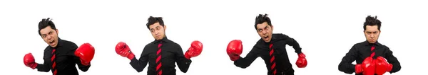 Homme d'affaires avec gants de boxe rouge — Photo