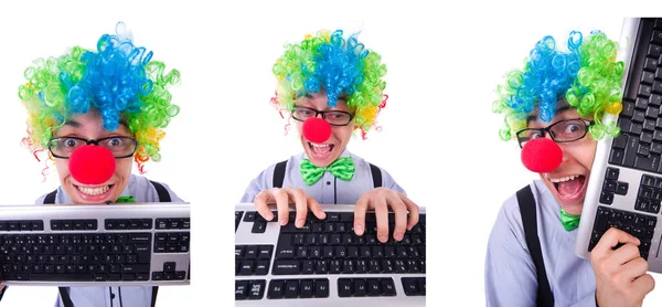 Lustiger Typ mit Clownsperücke auf weißem Hintergrund — Stockfoto