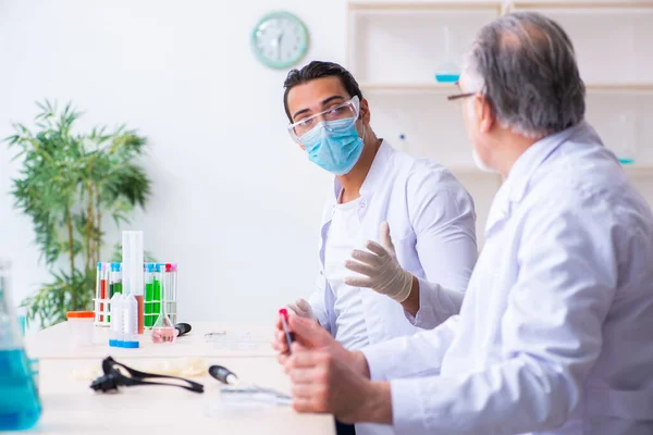 Dos químicos trabajando en el laboratorio — Foto de Stock