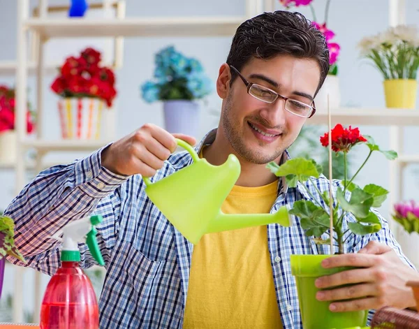 Jeune homme fleuriste travaillant dans un magasin de fleurs — Photo