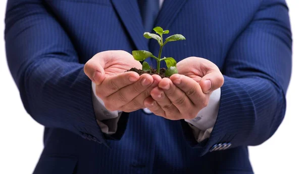 Geschäftsmann hält grüne Sprossen isoliert auf weißem Grund — Stockfoto