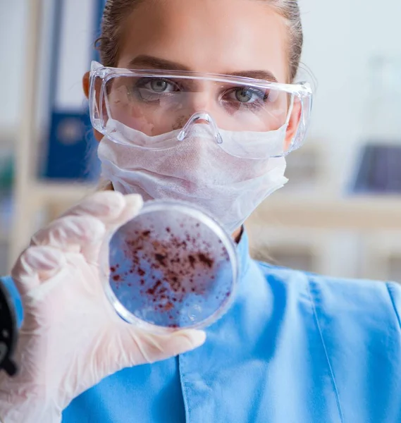 Pesquisadora cientista conduzindo uma experiência em um labora — Fotografia de Stock