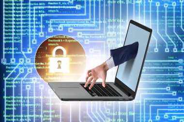 Hacker kişisel bilgileri çalmaya çalışıyor.