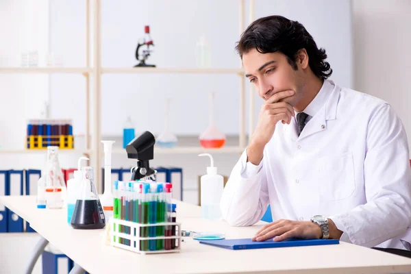 Giovane bel chimico che lavora in laboratorio — Foto Stock