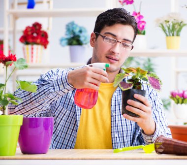 Bahçıvan çiçekçide çalışıyor. Çiçekçide çalışıyor.