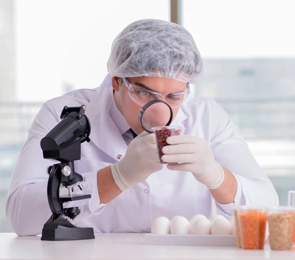 Ekspert ds. żywienia badający produkty spożywcze w laboratorium — Zdjęcie stockowe