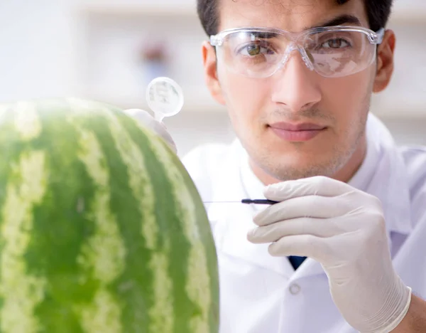 Naukowiec badający arbuza w laboratorium — Zdjęcie stockowe