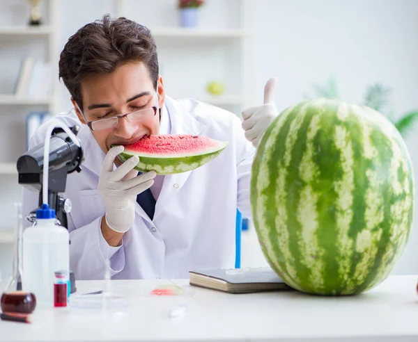 Scientist testing watermelon in lab — Stock Photo, Image