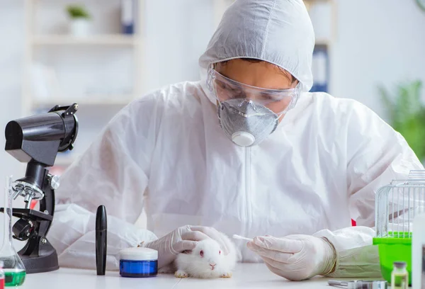 A tudós állatkísérleteket végez nyulakkal a laborban — Stock Fotó
